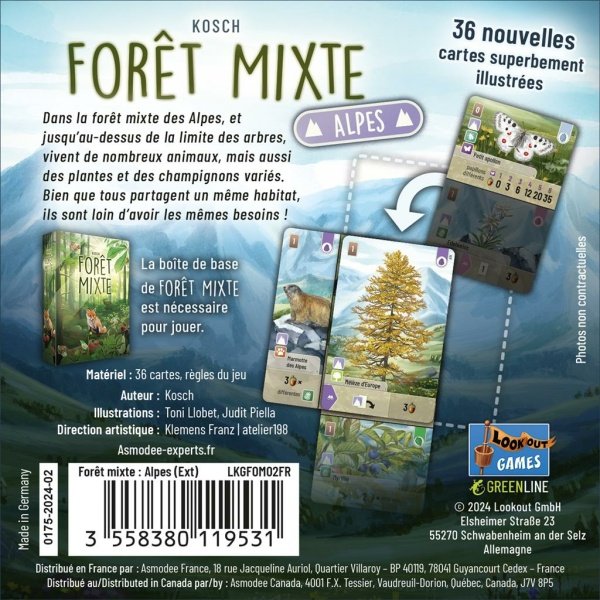 Forêt Mixte - Alpes – Image 3